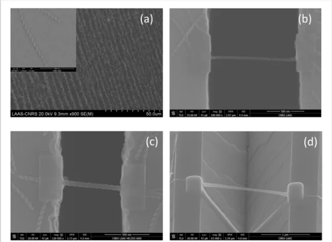 Figure  1(a) shows a SEM image of silica NS deposited on a silicon substrate using oriented capillary assembly  with a closer view on individual ones in the inset