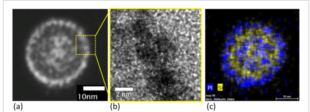 Figure 3.  TEM images of the cross-section of a NS metallized with Pt using EBID. (a) STEM/HAADF image
