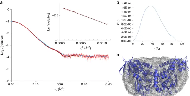 Fig. 5 Alternate homodimerization mode of LkcE relative to hMAO B and 6HDNO. a Homodimeric structure of LkcE