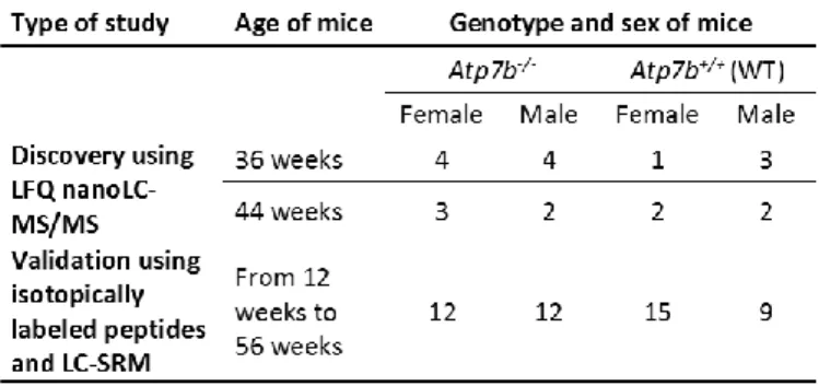 Table  1.  Groups  and  numbers  of  mice  used  for  LFQ  proteomics  discovery analysis, and validation based on targeted proteomics