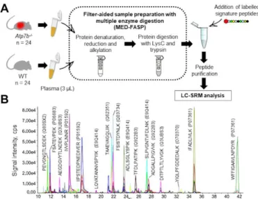 Fig. 2. Validation of 15 selected proteins in murine plasma by targeted  proteomics.  A