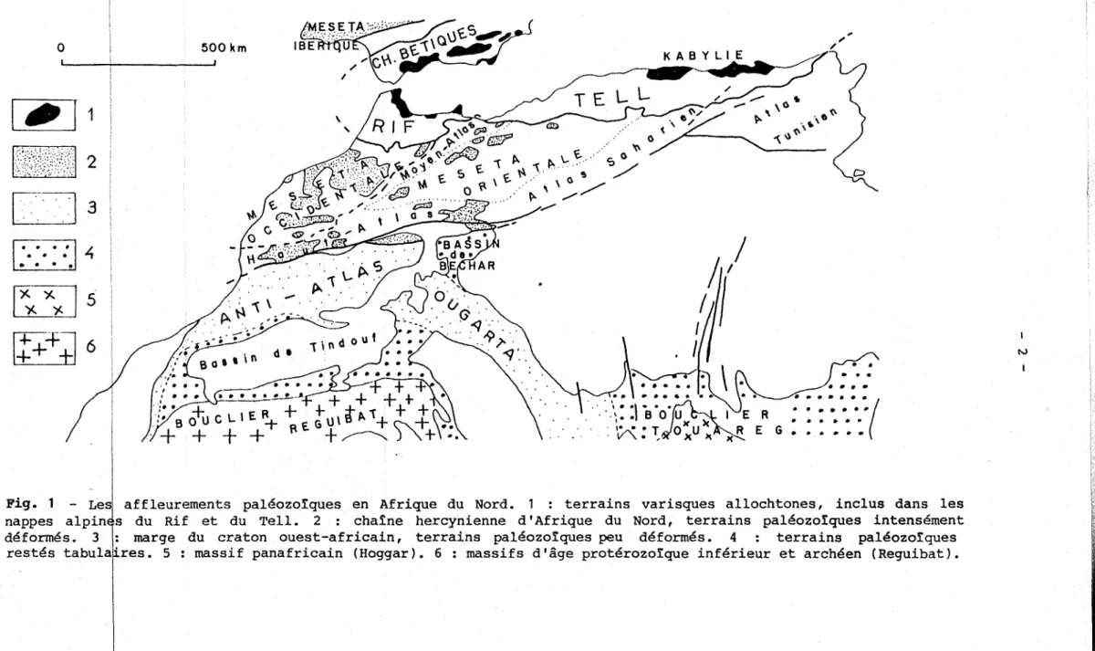 Fig.  1  - Lei affleurements  paléozoïques  en  Afrique  du  Nord.  1  :  terrains  varisques  allochtones,  inclus  dans  les  nappes  alpin  s  du  Rif  et  du  Tell