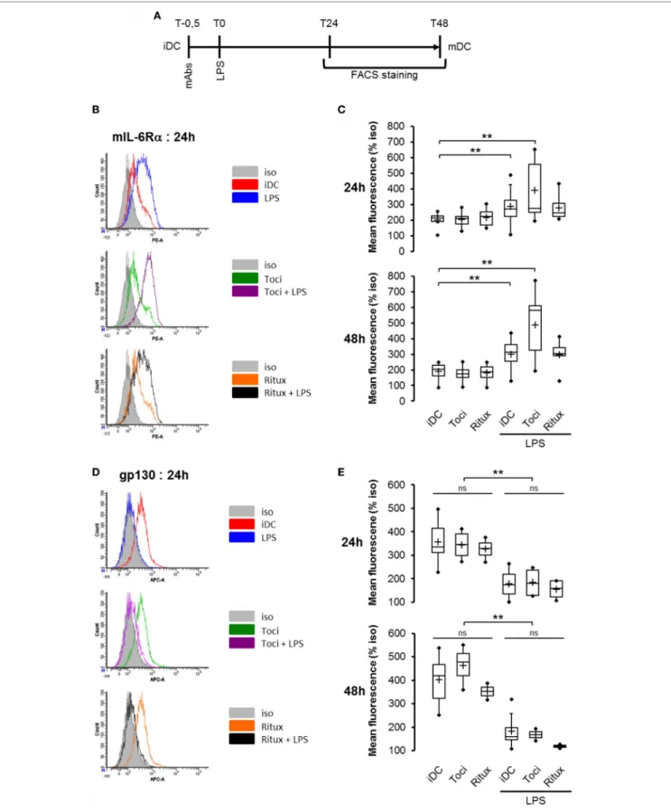 FigUre 3 | Tocilizumab induced overexpression of mIL-6R α  but not gp130. (a) Flowchart