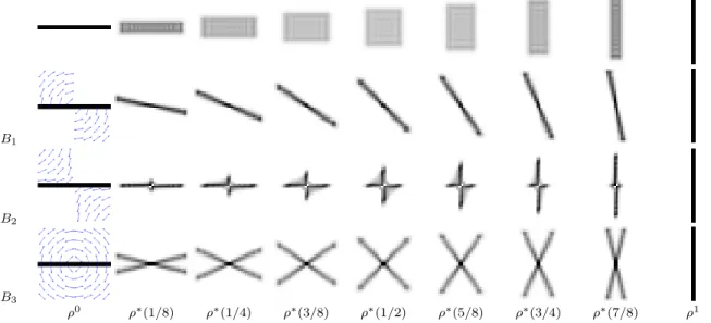 Fig 4 . Illustration of the mass ρ ∗ (t) estimated between ρ 0 and ρ 1 , through the computation of the transport costs defined by the three different anisotropic domains, illustrated by the blue directions in the first column