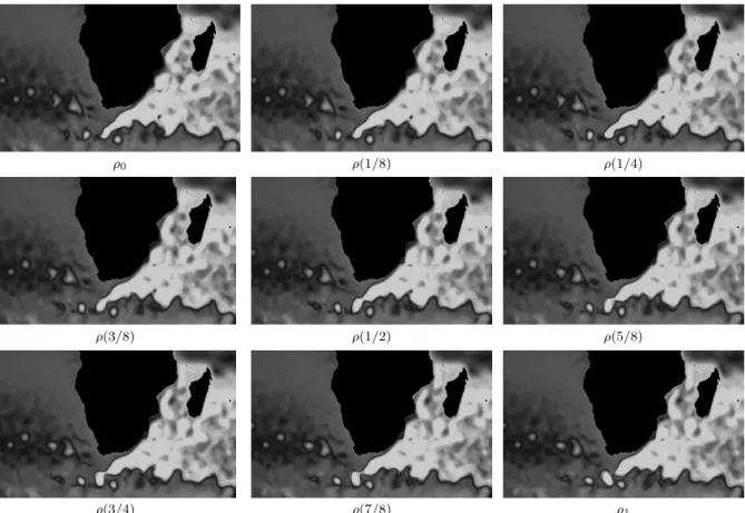 Fig 9 . Interpolation of Sea Surface Height images in oceanography: creation of vortexes in Cap Point.