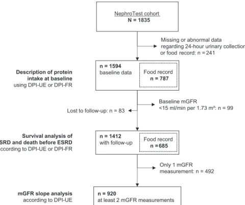 Figure 1. Study ﬂow chart. DPI-FR, dietary protein intake estimated from 7-day food record; DPI-UE, dietary protein intake estimated from 24- 24-hour urinary urea excretion; ESRD, end-stage renal disease; mGFR, measured glomerular ﬁ ltration rate.
