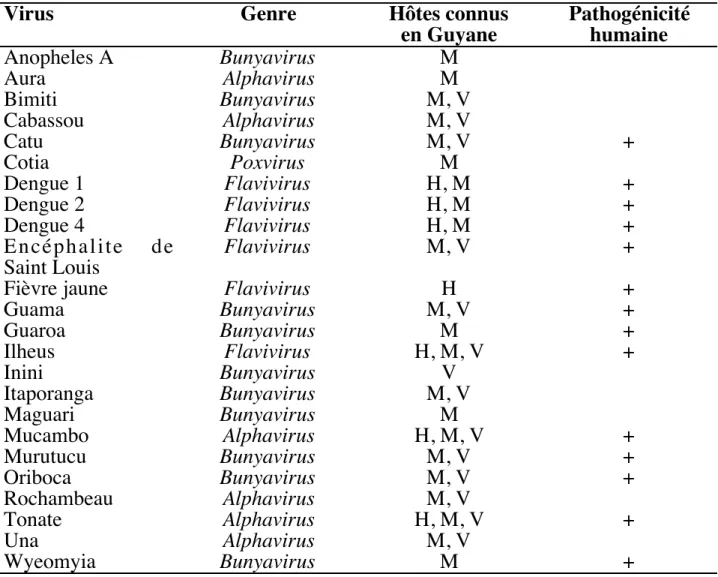 Tableau  1:  Arbovirus  néotropicaux  de  Guyane  française  isolés  ou  détectés sérologiquement dans la population humaine ou chez les animaux (M = moustiques;
