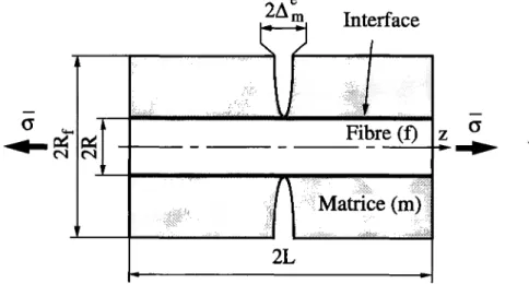 FIG.  1.4  -  Cellule élémentaire pour  l'étude  de la fissuration  d'un  composite endomma-  geable