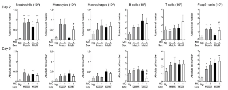 FIGURE 5 | Mast cells induce some early transient changes in monocyte and Foxp3-positive cell infiltration in draining lymph nodes after grafting under mismatch conditions