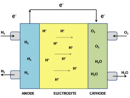 Figure 2.1: Schematic representation of a Proton Exchange Membrane Fuel Cell (PEMFC).