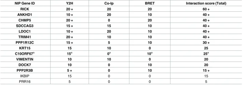 Table 1. Summary of Y2H, co-IP and BRET studies.