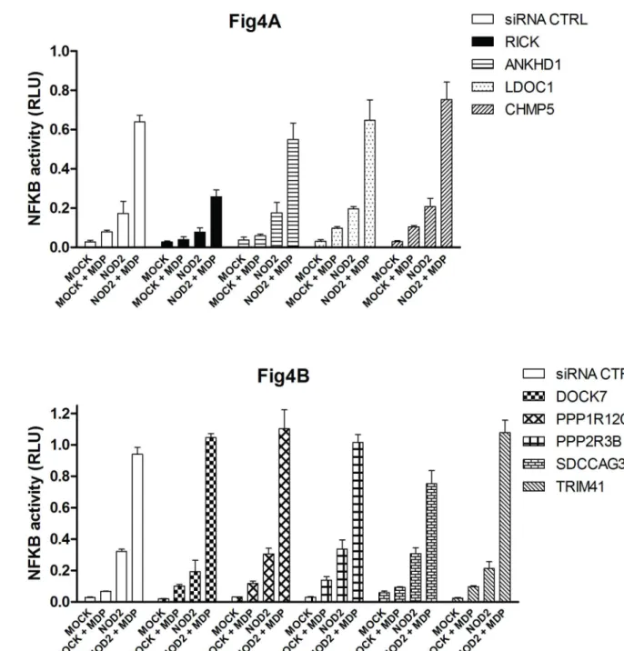 Fig 4. NOD2 dependent NF-κB activity in HEK293T cells following siRNA targeting different NIPs