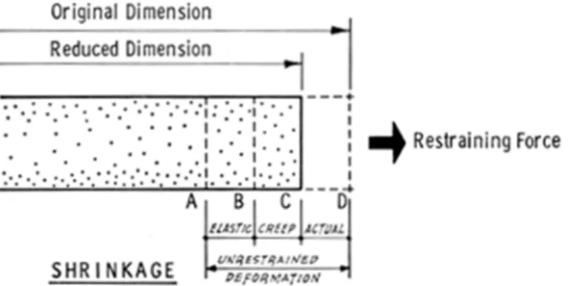 Figure 1. Factors affecting deformations.