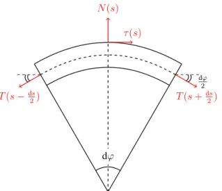 Fig. 2: Concise illustration of the local equilibrium of the cable along the contact interface