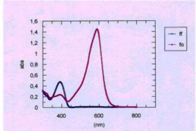 fig. Spectres d'absorption des deux formes isomériques d'une molécule  photochromique en solution