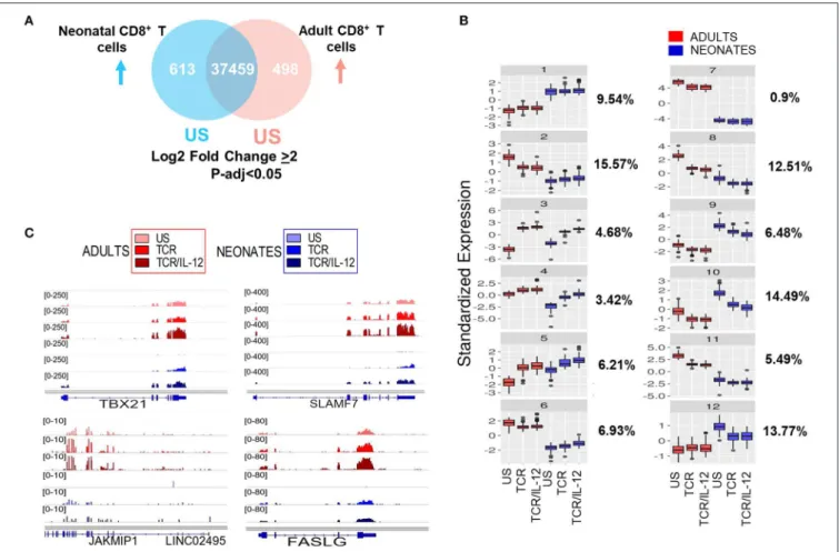 FIGURE 2 | Basal levels and response patterns of differentially expressed genes between neonatal and adult CD8 + T cells