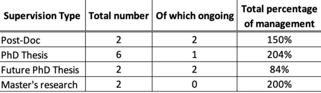 Table 5 – Mentoring activity 
