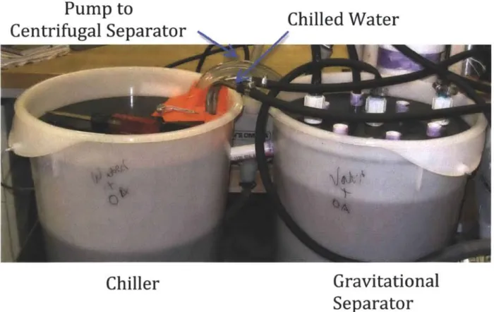 Figure  3-8:  An immersion  wort chiller sits  inside  a five-gallon  bucket to  cool  the  solvent and water mixture  from  the gravitational  separator