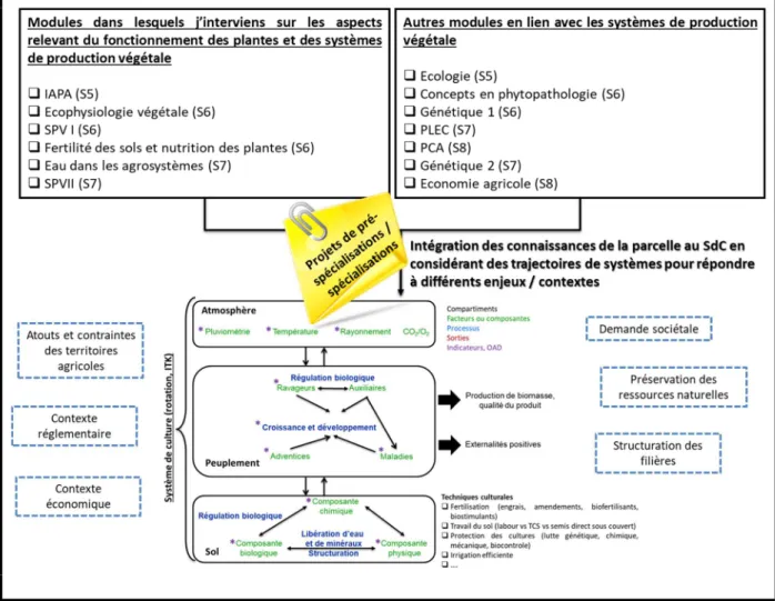 Figure  7 :  Démarche  pédagogique  mise  en  œuvre  pour  permettre  une  intégration  efficiente  des  connaissances du peuplement végétal au système de culture