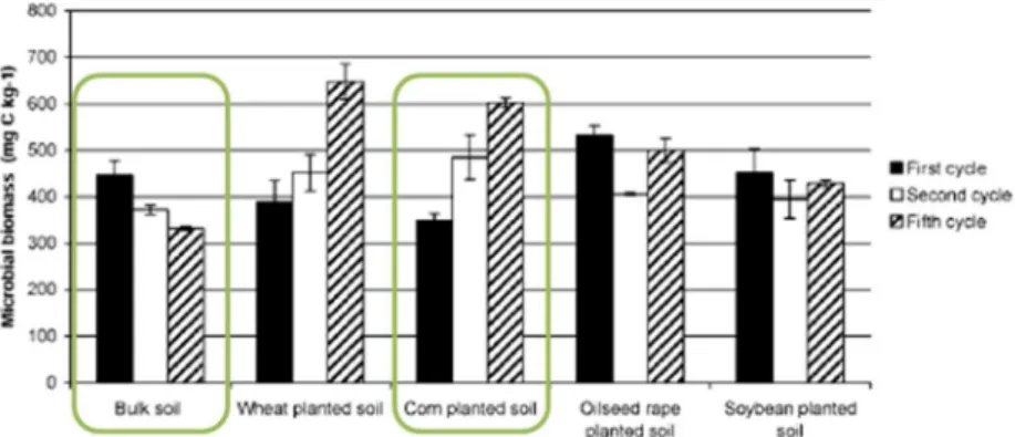 Figure  13 :  Biomasse  microbienne  carbonée  mesuré  en  sols  nu  et  rhizosphérique  pour  différentes  espèces cultivées sur plusieurs cycles de végétation (moyenne ± SD, n =15) (Piutti et al., 2002a) 