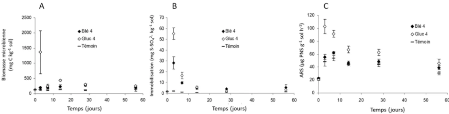 Figure 25 : Evolution temporelle de la biomasse microbienne carbonée (A), de l’immobilisation de S (B)  et de l’activité ARS (C) dans des sols amendés avec des résidus de blé (4g équivalent C kg -1  de sol) ou du  glucose (4g équivalent C kg -1  de sol)