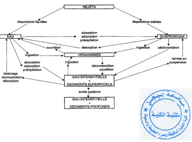 Figure 01  :  schéma représentant le comportement des métaux rejetés dans les coure d' eau  d'après Marchandise et Robbe 