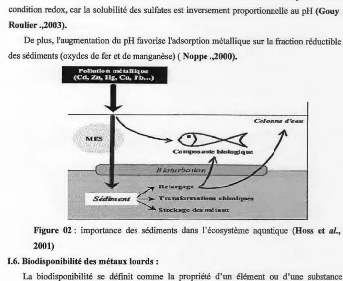 Figure  02  :  importance  des  sédiments  dans  l' écosystème  aquatique  (Ross  et  al.,  2001) 