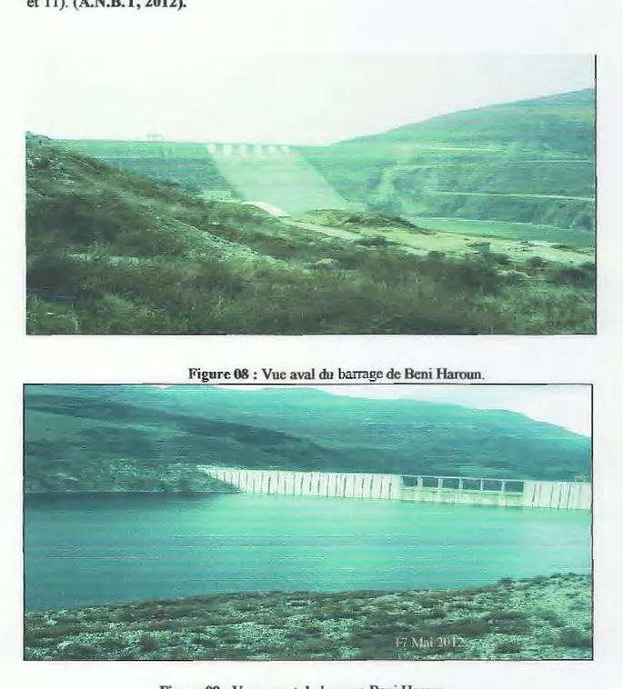 Figure 08 : Vue aval du barrage de Beni Haroun. 