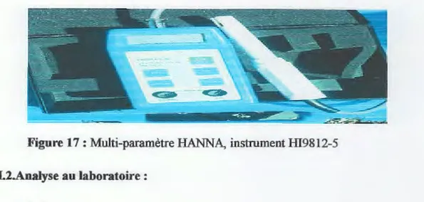 Figure 17:  Multi-paramètre HANNA, instrument HI9812-5 