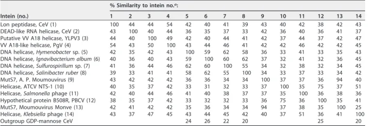 TABLE 3 High similarity of the CeV Lon peptidase intein to those usually found in various DNA helicases