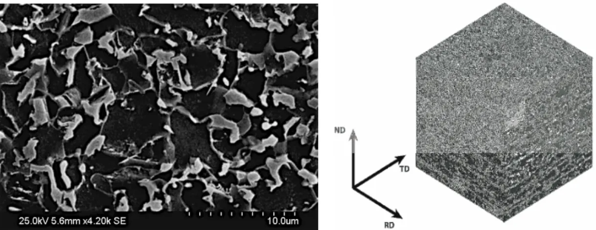 Fig. 3. Dual phase steel microstructure: distribution of martensite in white, and ferrite in dark