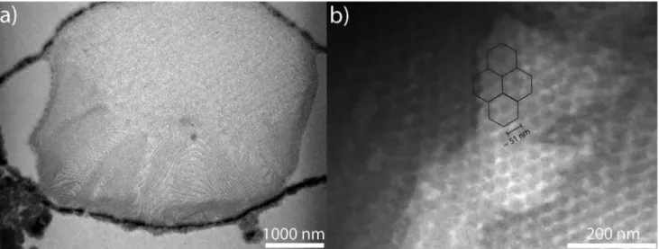 Fig. 3 (a) Time-resolved in situ SAXS pro ﬁ les collected throughout the dispersion polymerisation of PMMA(25)-PS(50) in scCO 2 