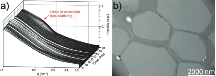 Fig. 5 (a) Time-resolved in situ SAXS data recorded during the chain extension of PMMA(58) to form PMMA(58)-PS(12) via dispersion polymerisation in scCO 2 