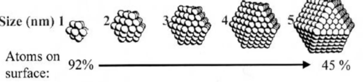 Fig. I.1: Distribution des atomes par rapport à la surface spécifique. 