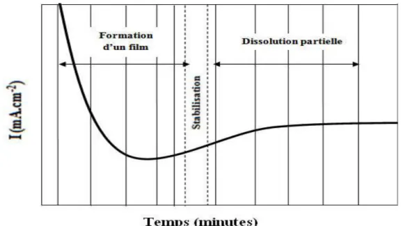 Fig. II.3: Exemple de la courbe chronoampérométrique  [31]. 