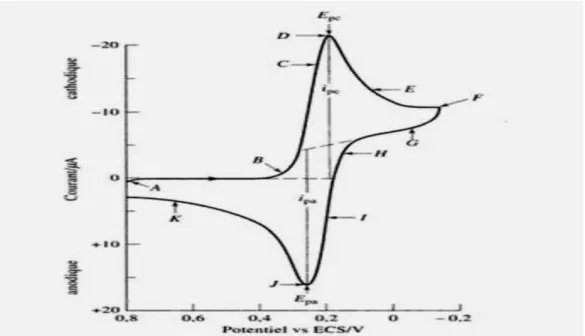 Fig. II.4: Voltampérogramme cyclique d’une solution 6 mM en K 3 Fe(CN) 6  et 1M en KNO 3 