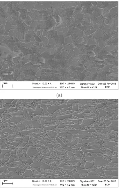 Figure 1: (a) Microstructure of a sample annealed at 740 ◦ C in the unstrained state. The microstructure consists of ultra-fine-grained ferrite (the “smooth” phase in the image) and retained austenite (phase with a rougher surface topography) with a roughl