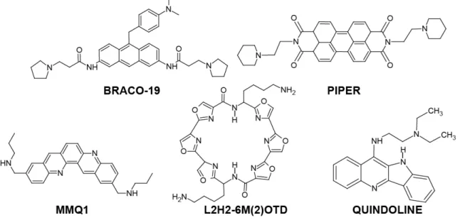 Figure 10: Chemical structures of  G4 ligands generated by in situ protonation strategy