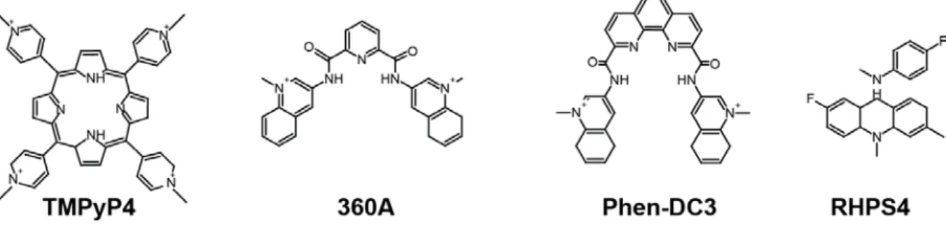 Figure  12: Schematic presentation of the chemical structures of  G4 ligands generated by N-methylation  strategy