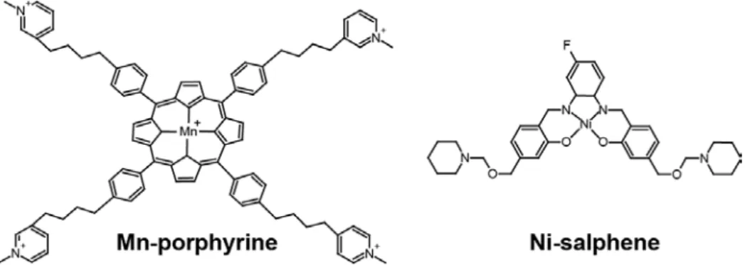 Figure 16: Model of G4-ligand complex showing groove interaction mode. 