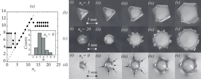 FIG. 2. (a) Number of cracks n obtained for diﬀerent initial numbers n 0 . At a given n 0 , the solid lines emphasize the dispersion of the results