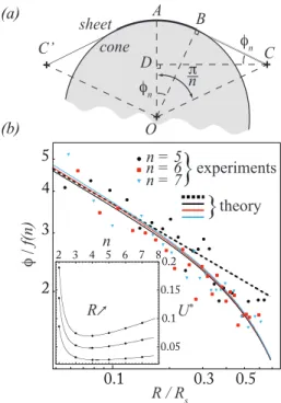 FIG. 3. (a) Schematic of the deformation of the inner bound- bound-ary of the sheet in contact with the cone between crack tips located in C and C � 