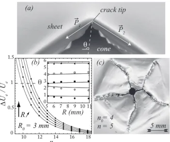 FIG. 4. (a) Sketch of a crack tip in a random pattern. Two punctual forces P� 1,2 , tangent to the cone, act on the corner formed by the crack tip