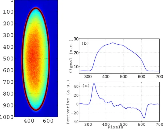 FIG. 2. (a) example of the picture of an ion cloud (dimensions in pixels) in the liquid phase with the fit of the contour (exposure time 0.5 s)
