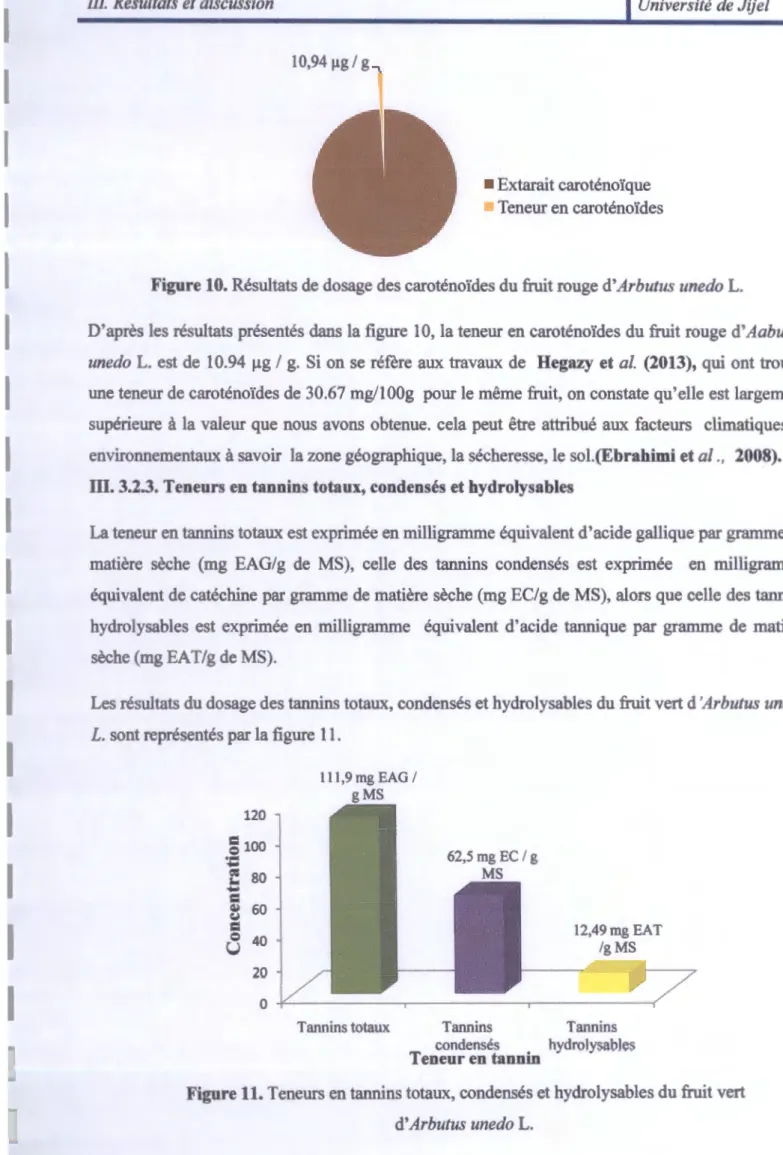 Figure 10. Résultats de dosage des caroténoïdes du fruit rouge d'Arbutus unedo L. 