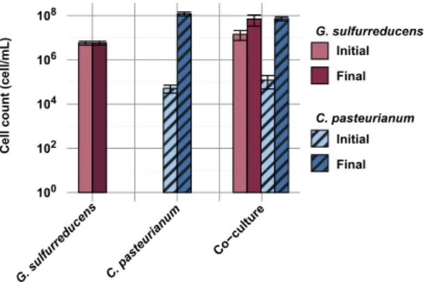 Figure 1.  Growth of G. sulfurreducens and C. pasteurianum in the different experimental conditions