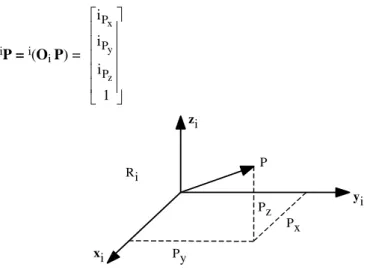 Figure 2.1. Representation of a point vector 