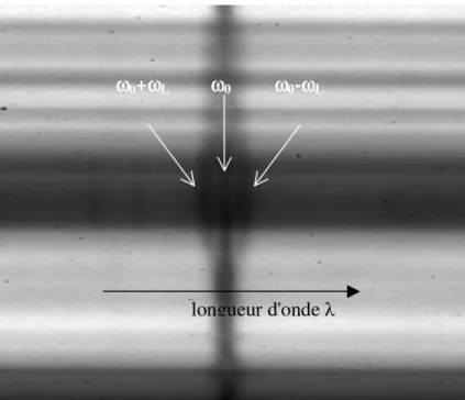 Figure 1  Raie FeI 6173 A sur une tache solaire