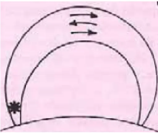 Figure 1  A la surface du Soleil, le phénomène de miroir magnétique se produit lorsqu'une particule chargée se déplace d'une zone de champ magnétique faible  (som-met d'une arche magnétique) vers ses pieds d'ancrage où le champ magnétique est fort