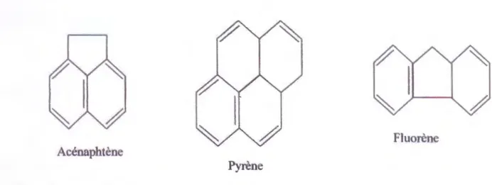 Figure 01: Différents types d'hydrocarbures polycycliques aromatiques (Laurent  et al,  2005)